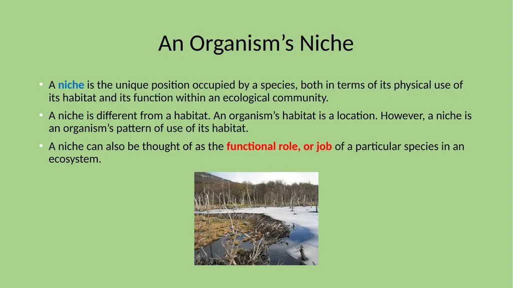 Focus 2/12 Define CARRYING CAPACITY What are some - slide 3 of 21