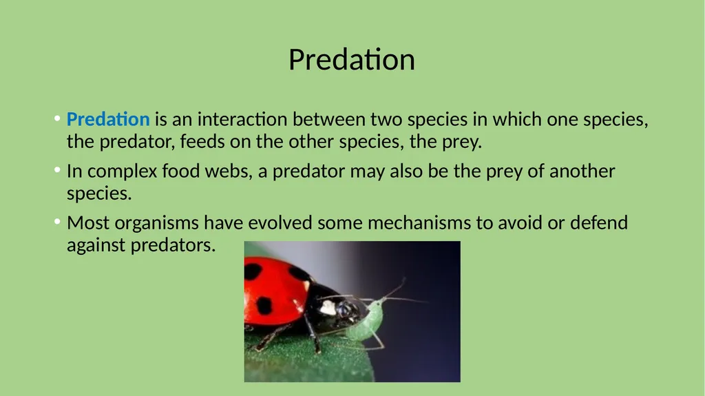 Focus 2/12 Define CARRYING CAPACITY What are some - slide 13 of 21