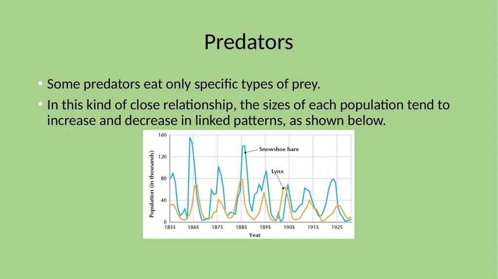 Focus 2/12 Define CARRYING CAPACITY What are some - slide 14 of 21
