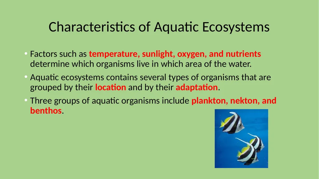 Chapter 7 Section 1 Freshwater Biomes Freshwater - slide 3 of 24