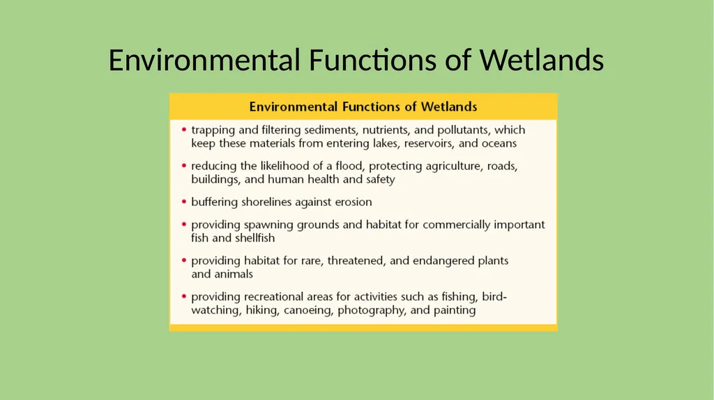 Chapter 7 Section 1 Freshwater Biomes Freshwater - slide 15 of 24