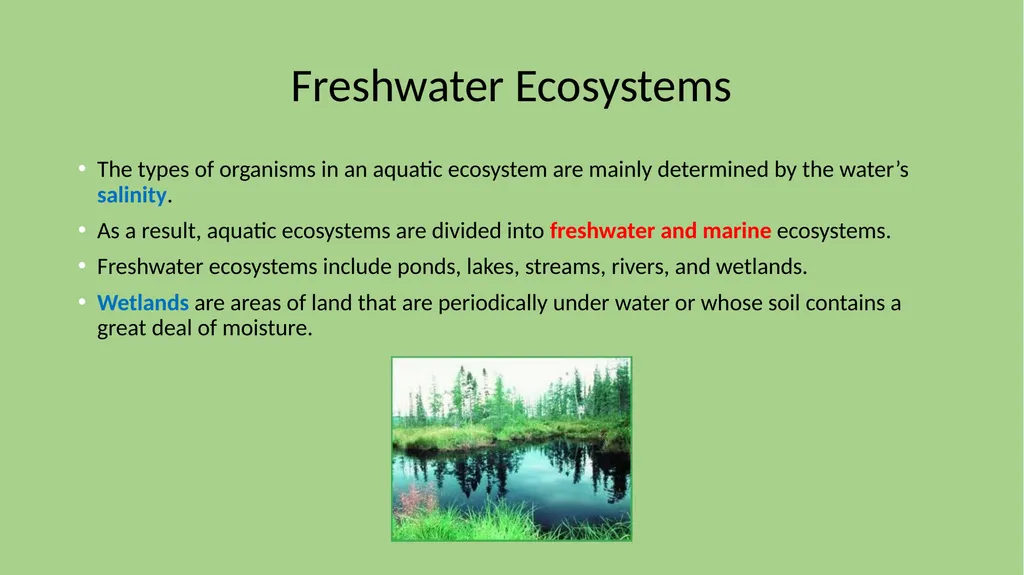 Chapter 7 Section 1 Freshwater Biomes Freshwater - slide 2 of 24