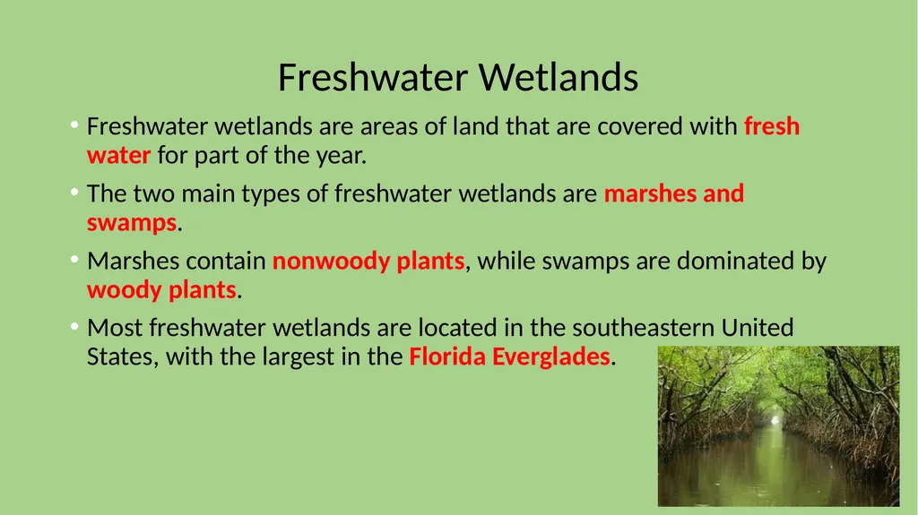 Chapter 7 Section 1 Freshwater Biomes Freshwater - slide 12 of 24