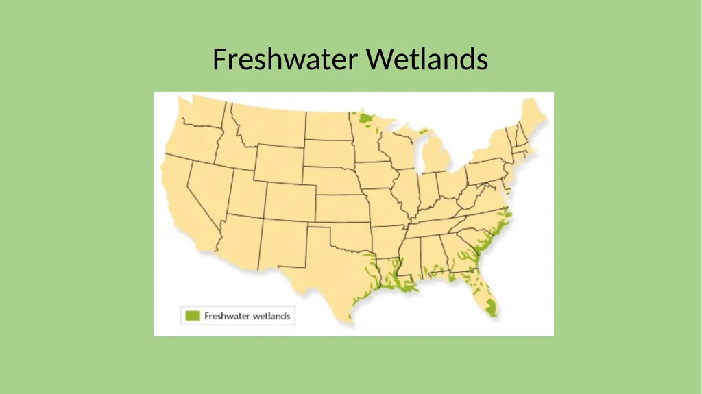 Chapter 7 Section 1 Freshwater Biomes Freshwater - slide 13 of 24