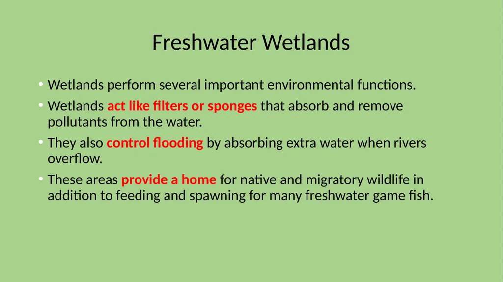 Chapter 7 Section 1 Freshwater Biomes Freshwater - slide 14 of 24