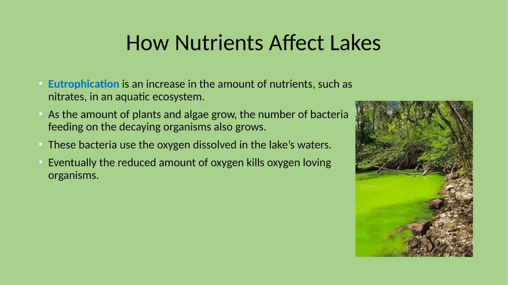 Chapter 7 Section 1 Freshwater Biomes Freshwater - slide 10 of 24