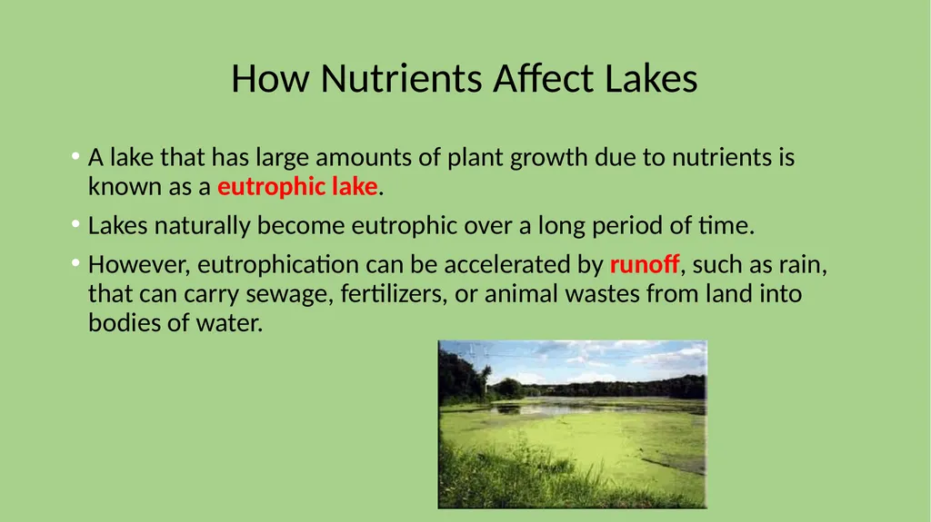 Chapter 7 Section 1 Freshwater Biomes Freshwater - slide 11 of 24