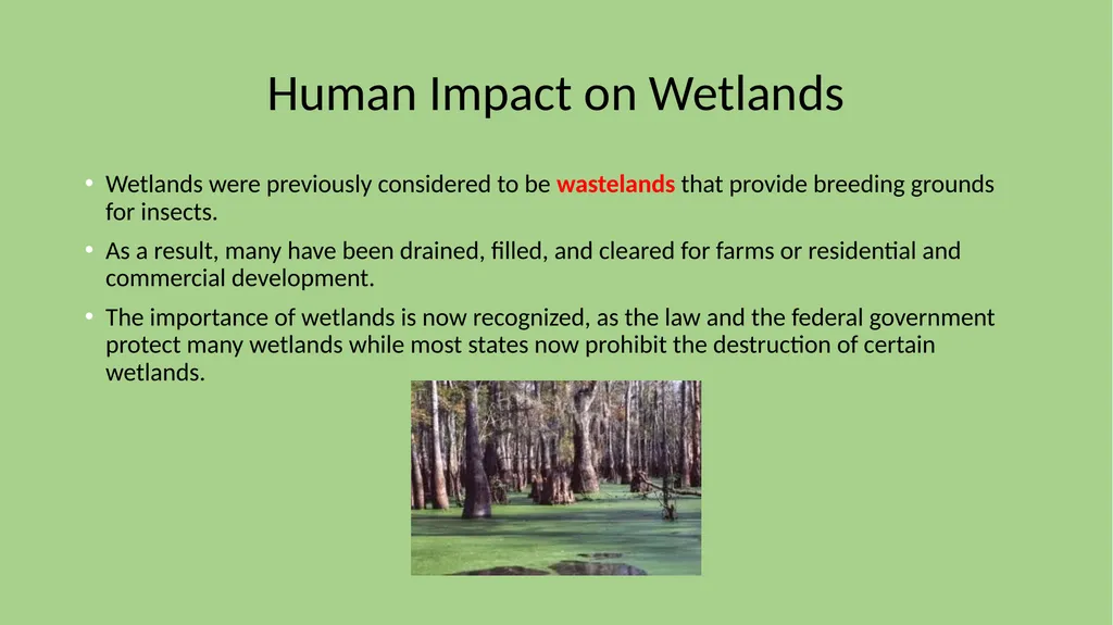 Chapter 7 Section 1 Freshwater Biomes Freshwater - slide 19 of 24