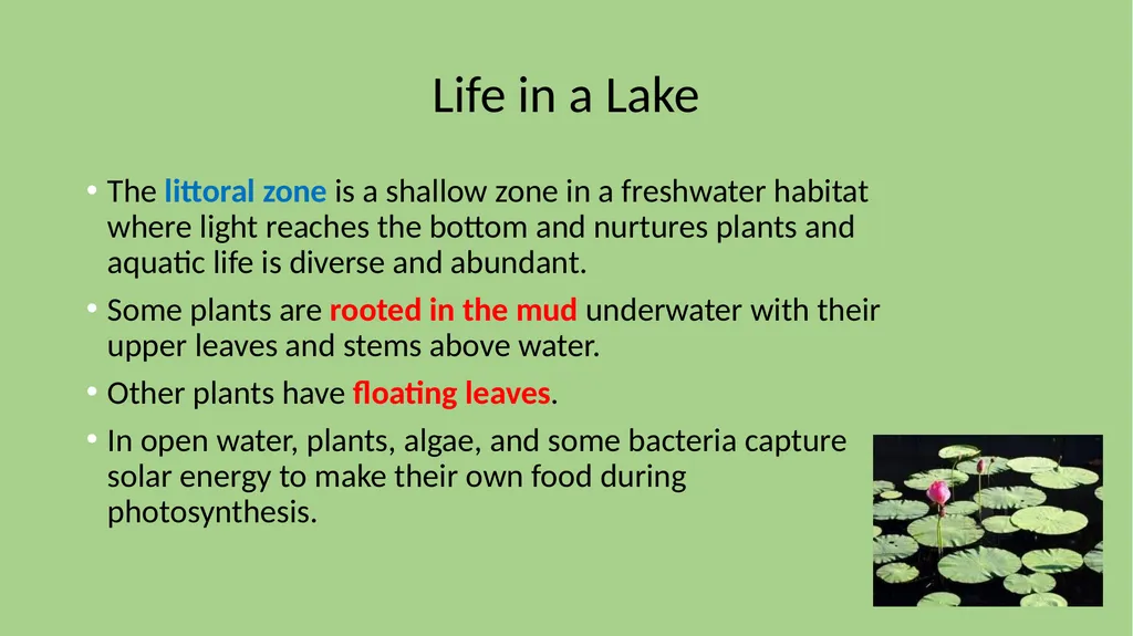 Chapter 7 Section 1 Freshwater Biomes Freshwater - slide 6 of 24