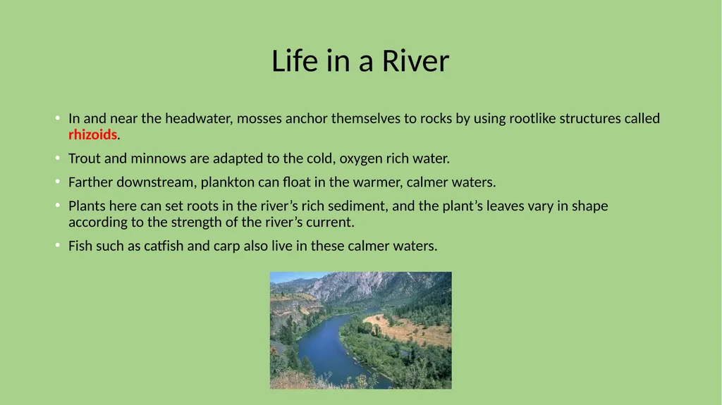 Chapter 7 Section 1 Freshwater Biomes Freshwater - slide 21 of 24