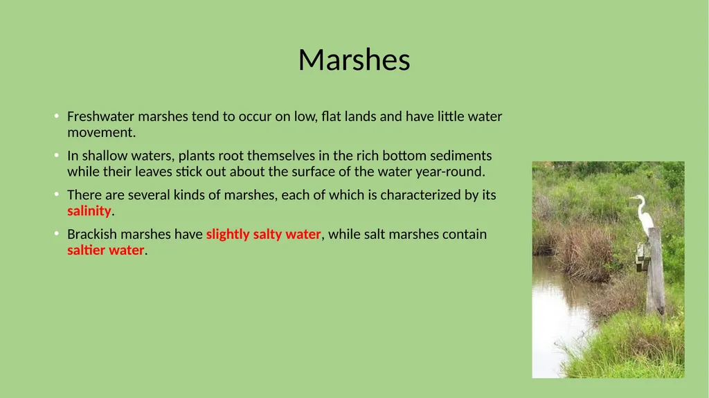Chapter 7 Section 1 Freshwater Biomes Freshwater - slide 16 of 24