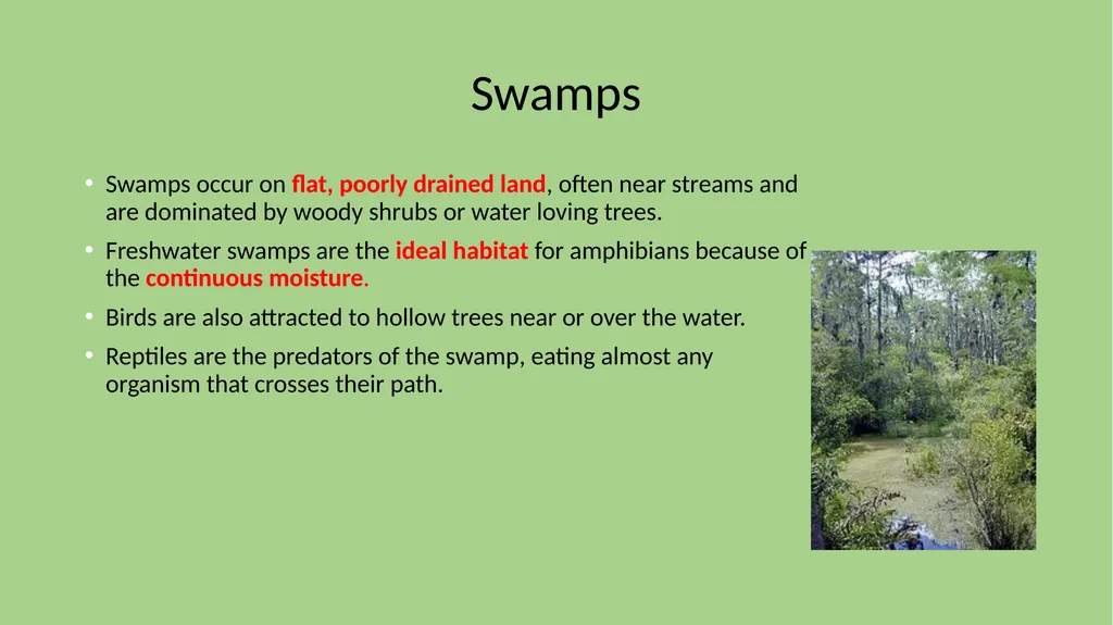 Chapter 7 Section 1 Freshwater Biomes Freshwater - slide 18 of 24