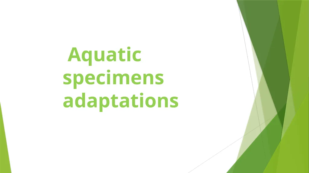 Aquatic specimens adaptations Anguilla Habitat / - slide 1 of 15