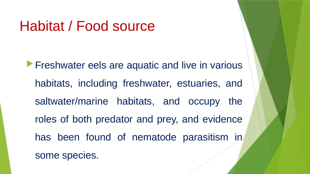 Aquatic specimens adaptations Anguilla Habitat / - slide 5 of 15