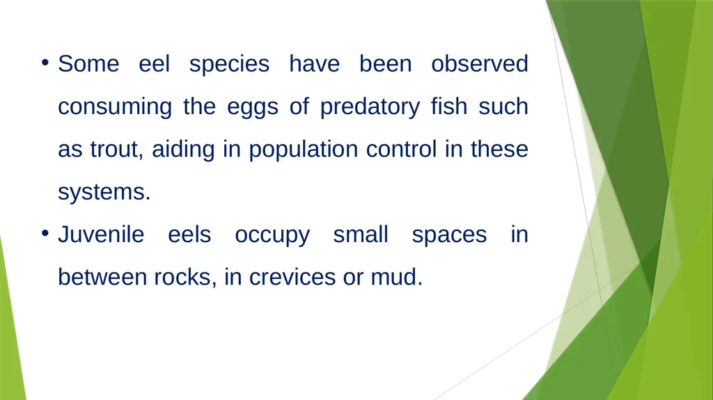 Aquatic specimens adaptations Anguilla Habitat / - slide 6 of 15