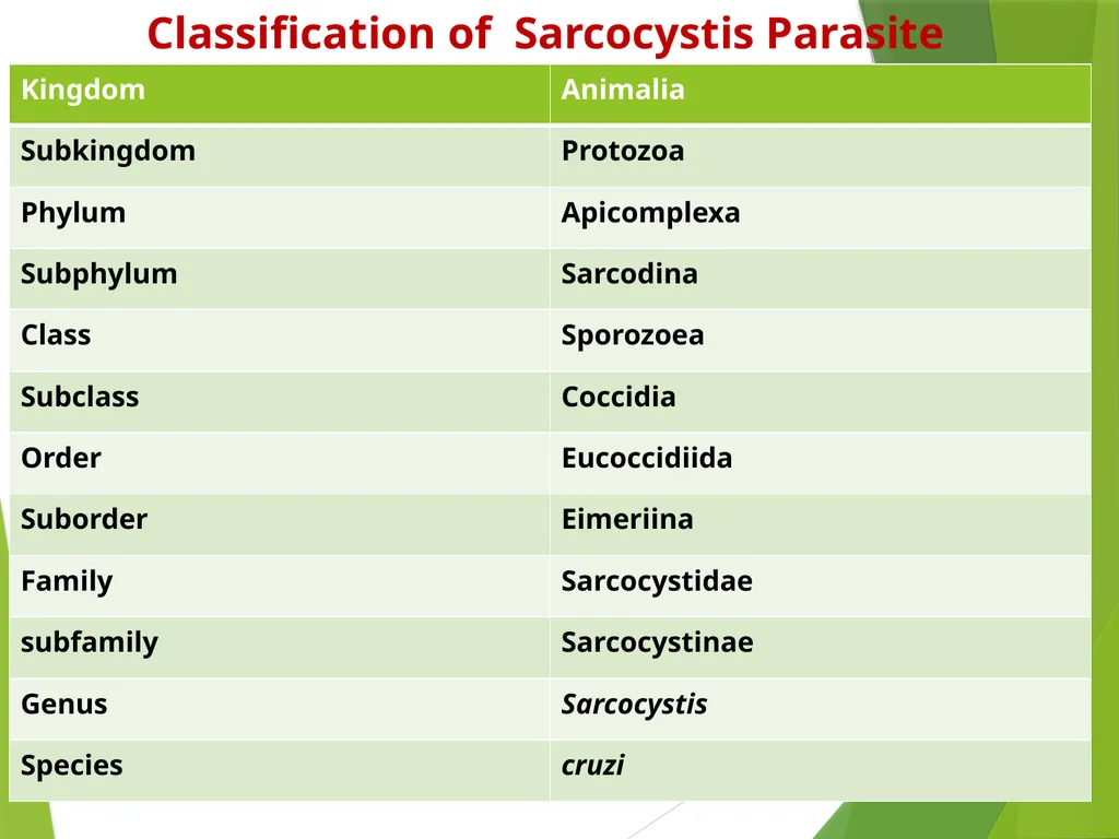 Dr. AJIT KUMAR Department of Veterinary - slide 8 of 14