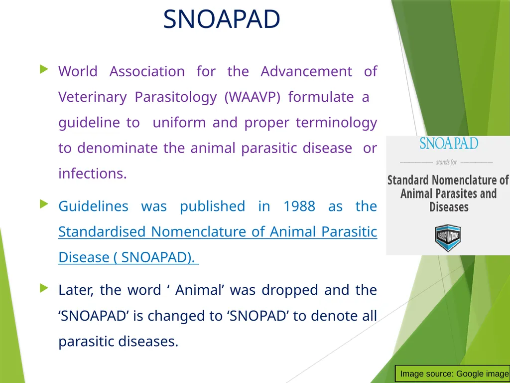 Dr. AJIT KUMAR Department of Veterinary - slide 10 of 14