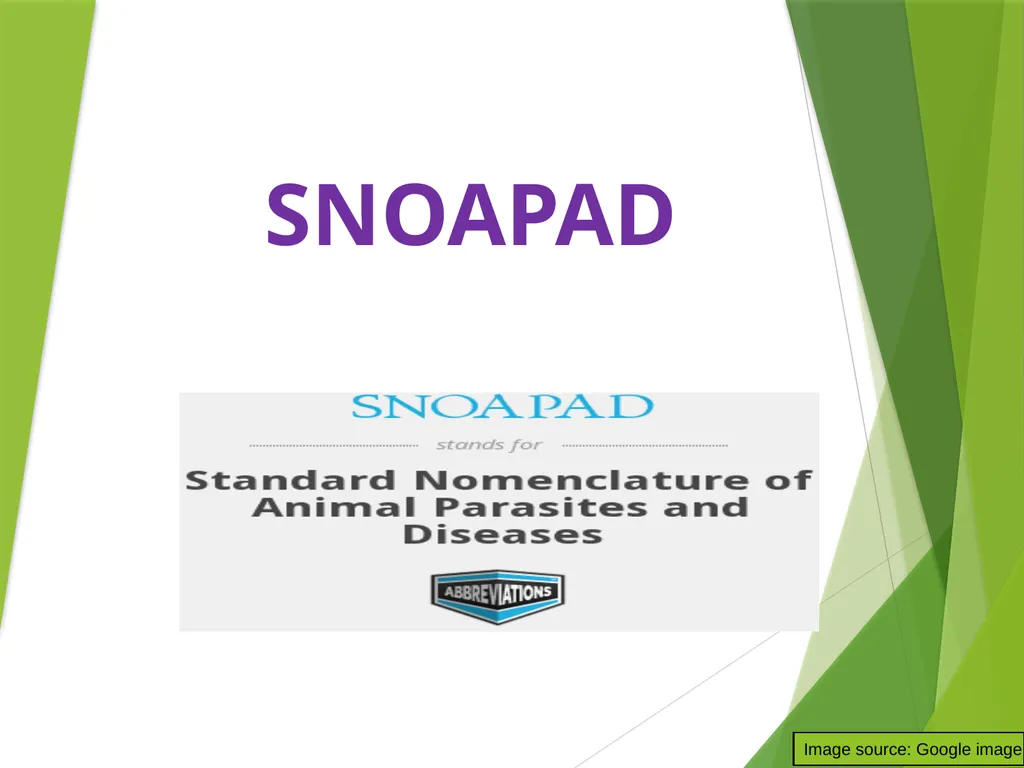 Dr. AJIT KUMAR Department of Veterinary - slide 9 of 14