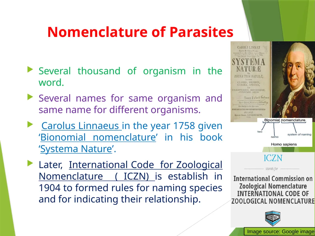 Dr. AJIT KUMAR Department of Veterinary - slide 3 of 14