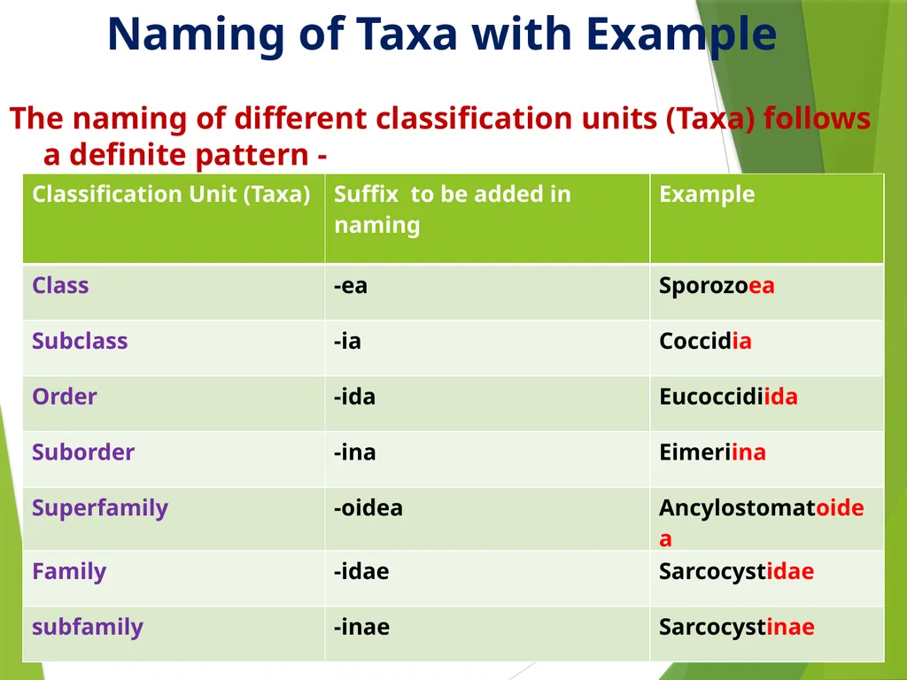 Dr. AJIT KUMAR Department of Veterinary - slide 7 of 14