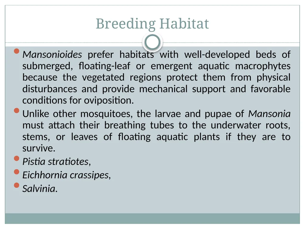 PRAMOD KUMAR MEHTA M.sc.(PHE) BIOLOGY OF MANSONIA - slide 13 of 19