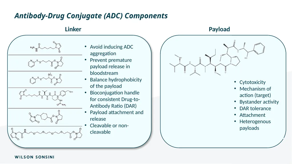 The IP ABCs of ADCs Deborah Smith, PhD., J.D. and - slide 7 of 44