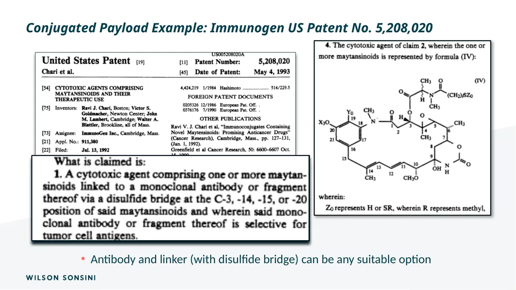 The IP ABCs of ADCs Deborah Smith, PhD., J.D. and - slide 14 of 44