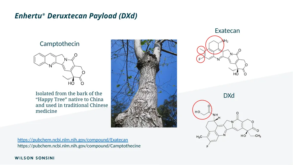 The IP ABCs of ADCs Deborah Smith, PhD., J.D. and - slide 29 of 44