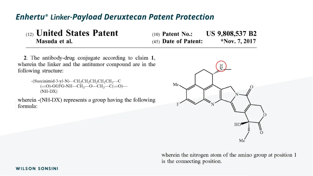 The IP ABCs of ADCs Deborah Smith, PhD., J.D. and - slide 31 of 44