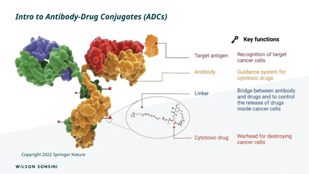 The IP ABCs of ADCs Deborah Smith, PhD., J.D. and - slide 5 of 44