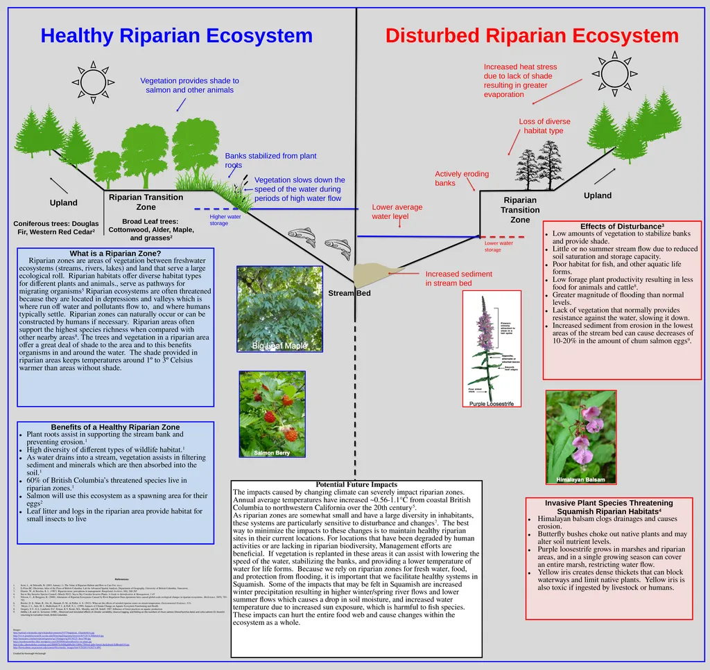 Stream Bed Healthy Riparian Ecosystem Disturbed