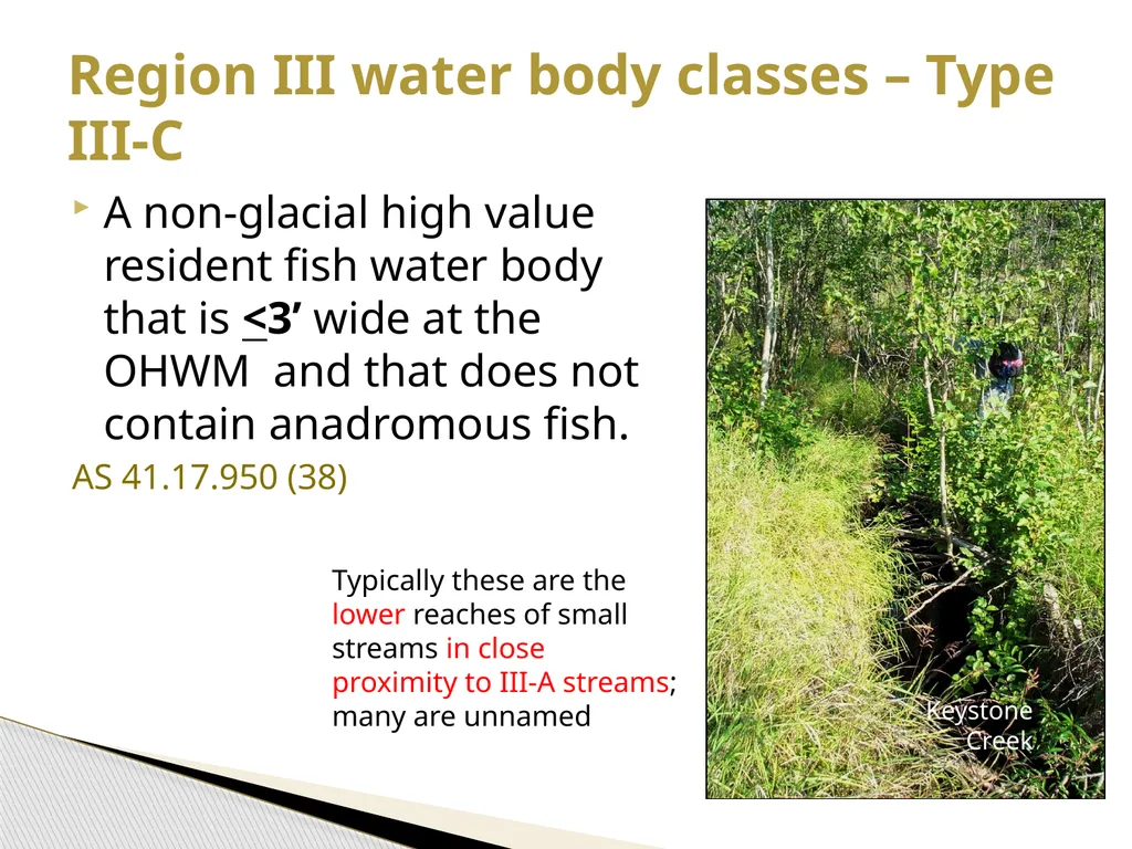 FRPA 101-E3 Riparian Management Standards Region - slide 12 of 55