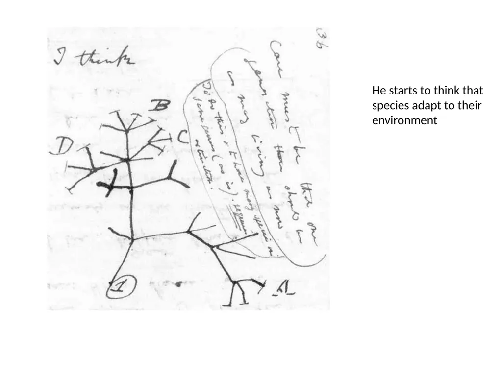 Lecture 10, Term 2 The Return to the Grand - slide 16 of 28