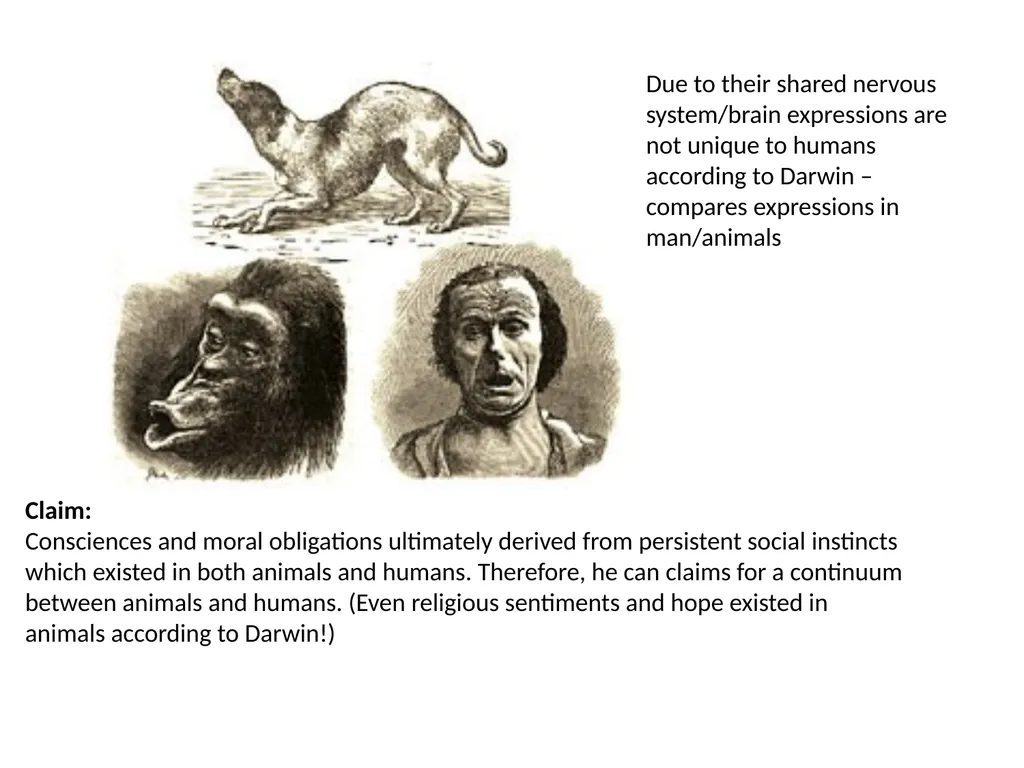 Lecture 10 Term 2 A New Bio-Turn? A society in - slide 14 of 25