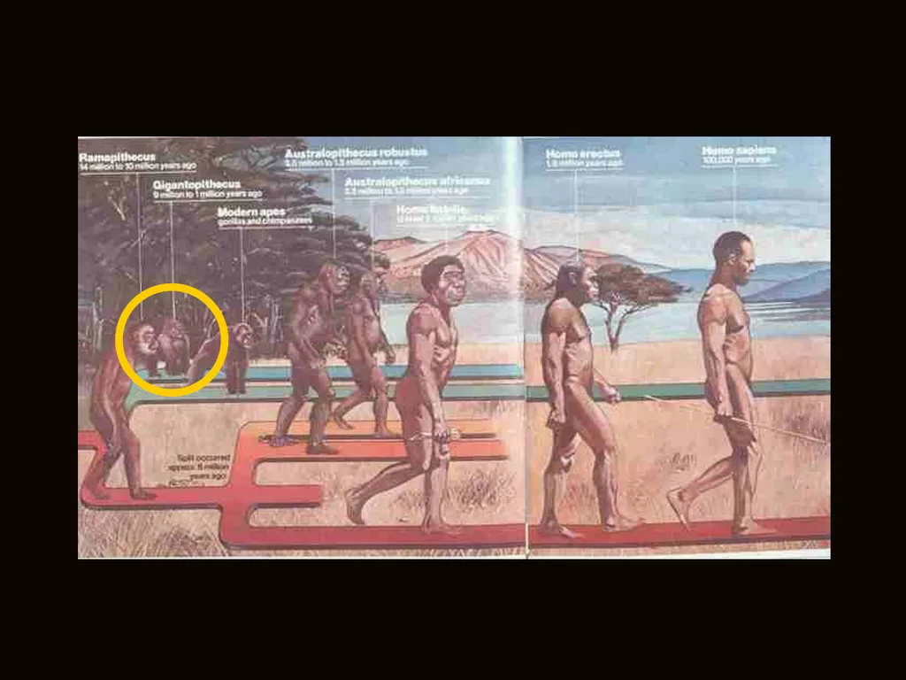 Prehistoric Cultures Major Characteristics of - slide 3 of 15