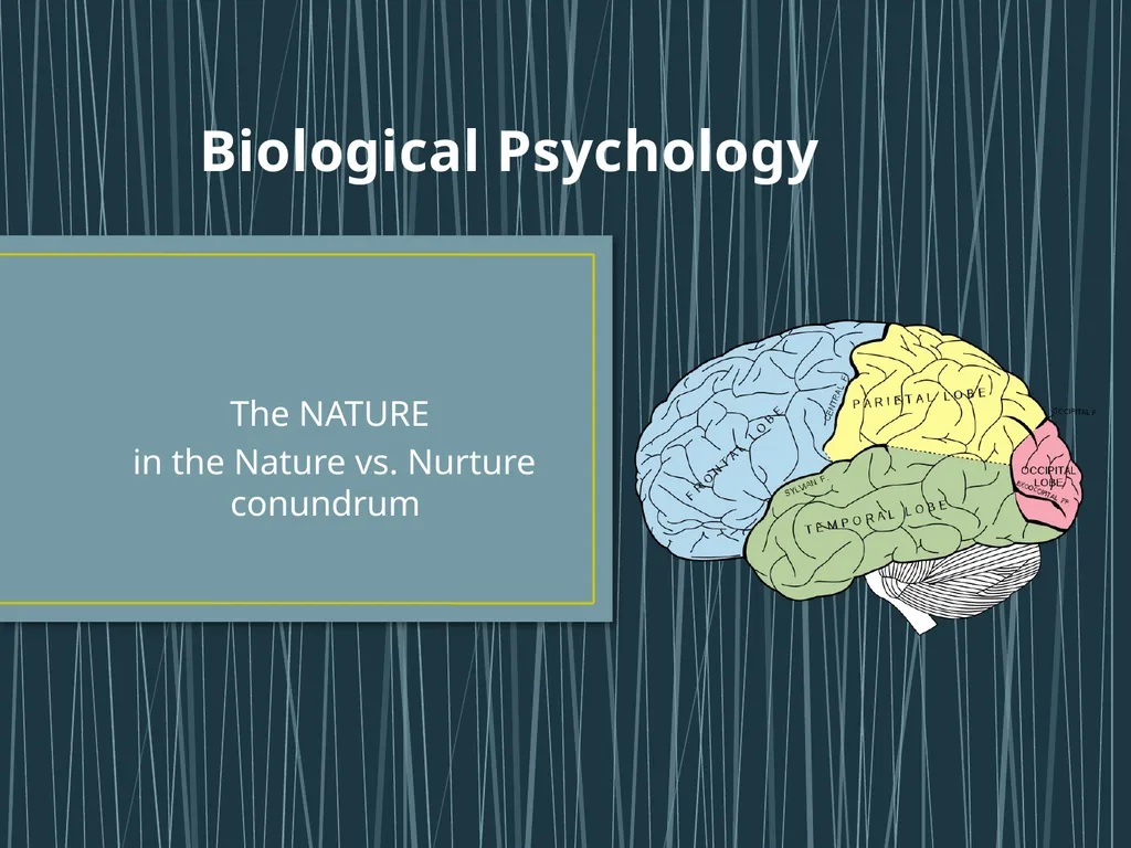 Biological Psychology The NATURE in the Nature vs. - slide 1 of 21