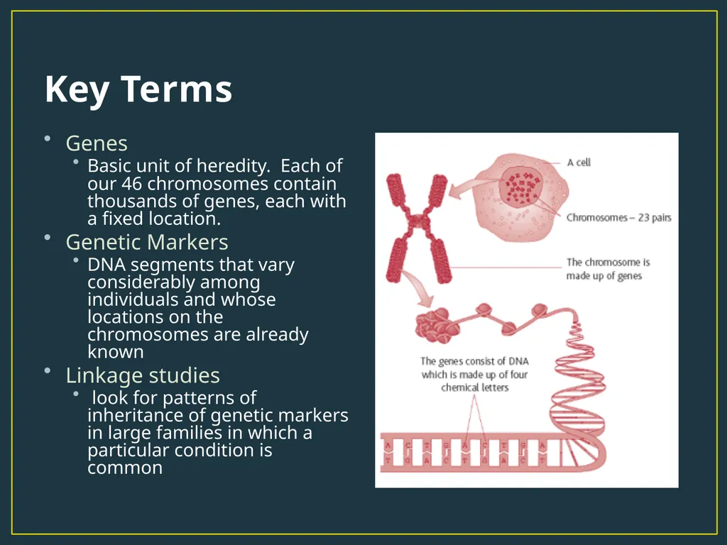 Biological Psychology The NATURE in the Nature vs. - slide 6 of 21