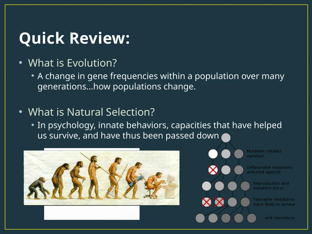 Biological Psychology The NATURE in the Nature vs. - slide 8 of 21
