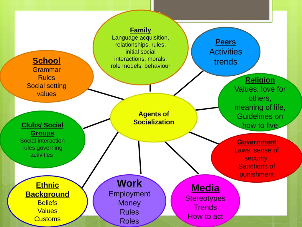 CHAPTER 5 Socializing the Individual Section 1: - slide 29 of 38