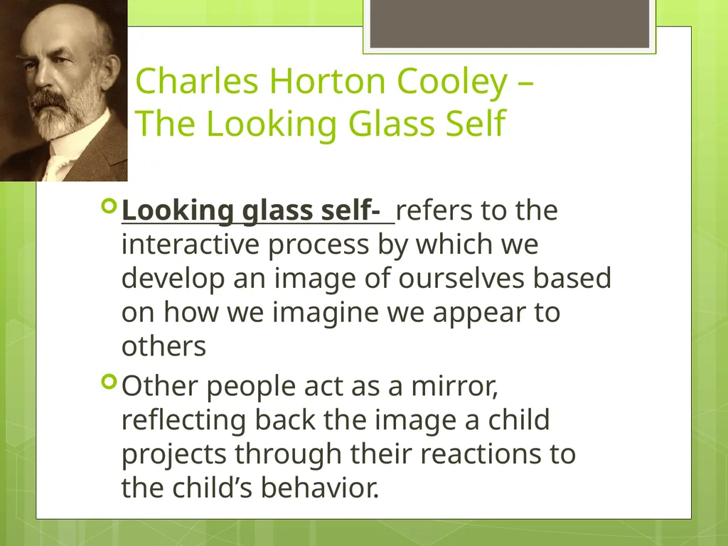 CHAPTER 5 Socializing the Individual Section 1: - slide 22 of 38