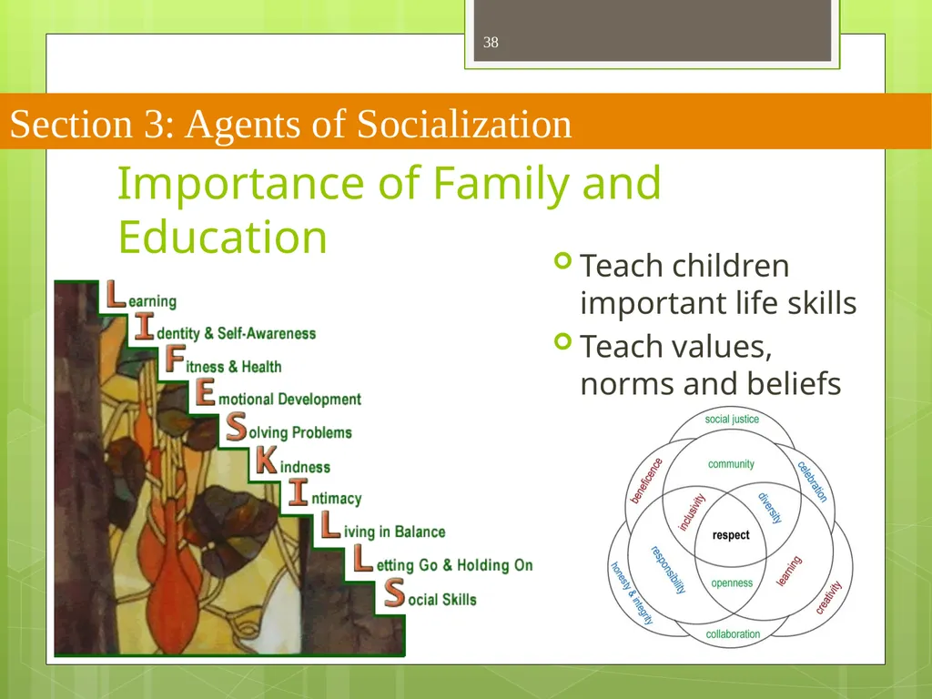 CHAPTER 5 Socializing the Individual Section 1: - slide 38 of 38