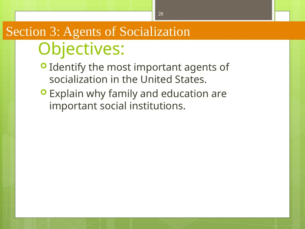 CHAPTER 5 Socializing the Individual Section 1: - slide 28 of 38