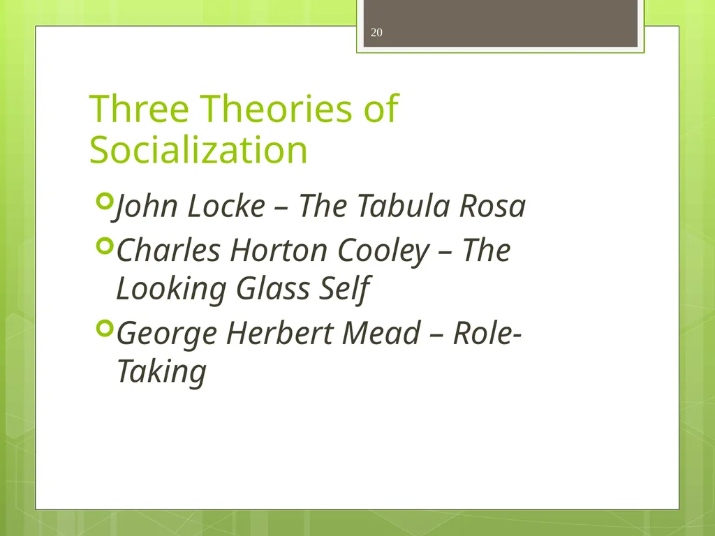 CHAPTER 5 Socializing the Individual Section 1: - slide 20 of 38