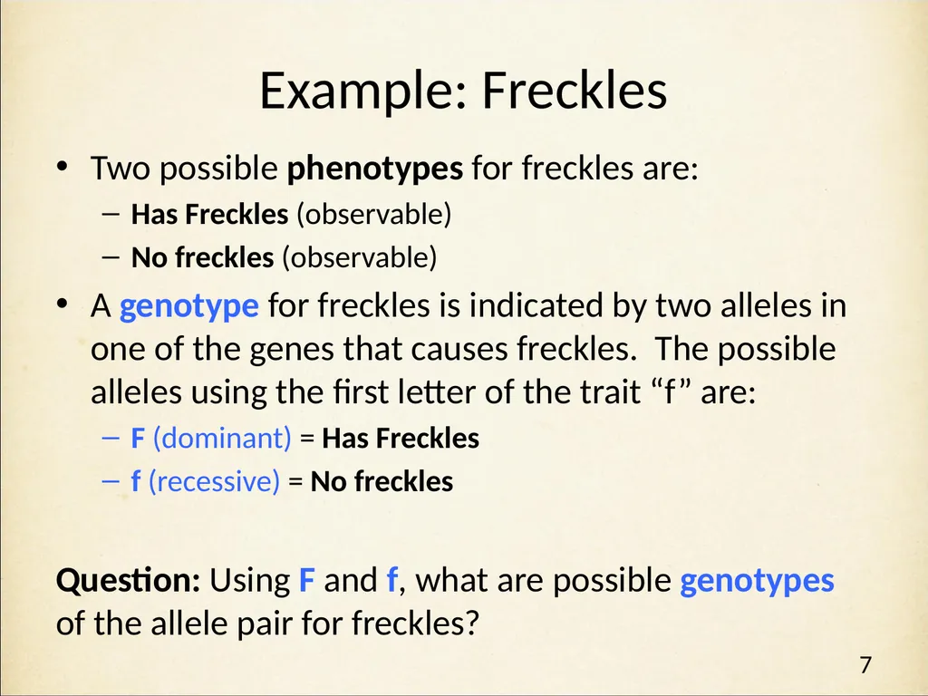 Genetics in Harry Potter’s World Lesson 1 - slide 7 of 29