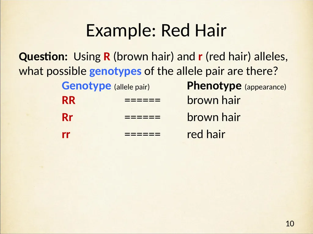 Genetics in Harry Potter’s World Lesson 1 - slide 10 of 29