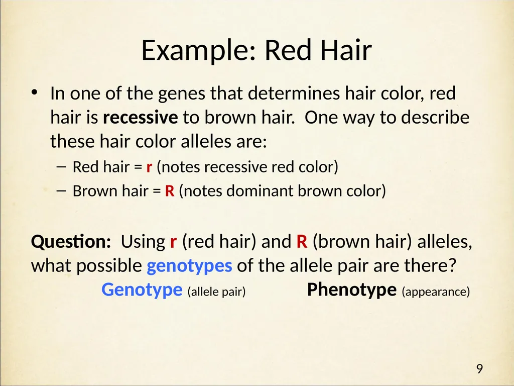 Genetics in Harry Potter’s World Lesson 1 - slide 9 of 29