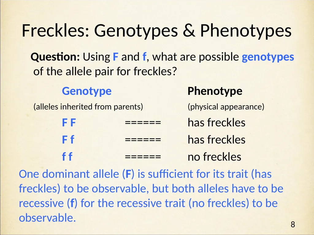 Genetics in Harry Potter’s World Lesson 1 - slide 8 of 29