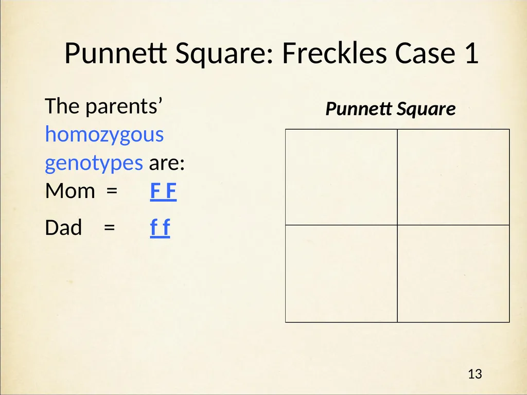 Genetics in Harry Potter’s World Lesson 1 - slide 13 of 29