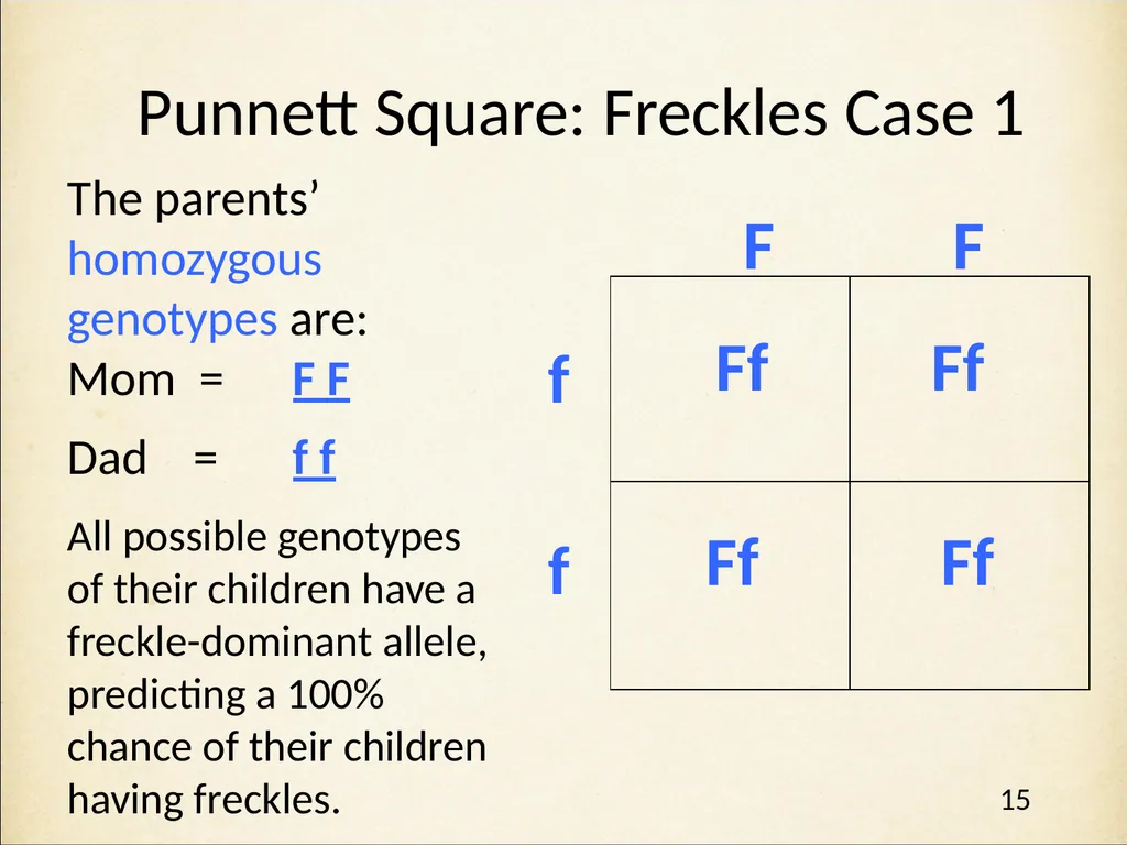 Genetics in Harry Potter’s World Lesson 1 - slide 15 of 29