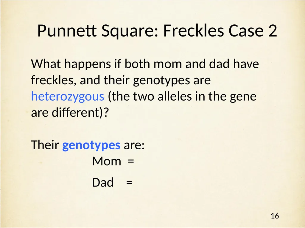 Genetics in Harry Potter’s World Lesson 1 - slide 16 of 29